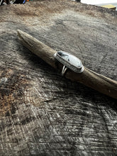 Load image into Gallery viewer, White Buffalo Freeform Ring