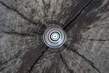 Load image into Gallery viewer, Fordite Round Ring