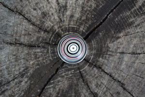 Fordite Round Ring